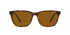 Gafas de sol Arnette 0AN4291