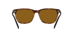 Gafas de sol Arnette 0AN4291