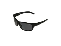 Gafas de sol Arnette FASTBALL 0AN4202