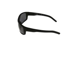 Gafas de sol Arnette FASTBALL 0AN4202