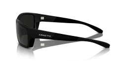 Gafas de sol Arnette FRAMBUESA 0AN4336