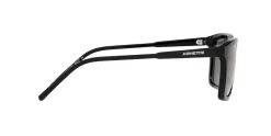 Gafas de sol Arnette SHYGUY 0AN4283