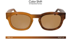 Gafas de sol Calvin Klein CKJ25601S