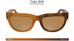 Gafas de sol Calvin Klein CKJ25600S