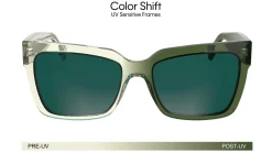 Gafas de sol Calvin Klein CKJ24606S