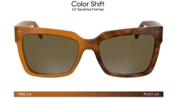 Gafas de sol Calvin Klein CKJ24606S