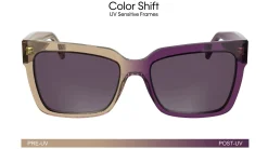 Gafas de sol Calvin Klein CKJ24606S