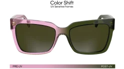 Gafas de sol Calvin Klein CKJ24606S