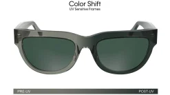 Gafas de sol Calvin Klein CKJ25600S