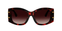 Gafas de sol D&G 0DG4501