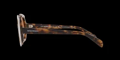 Gafas de sol Emporio Armani 0EA4207