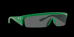 Gafas de sol Emporio Armani 0EA4204U