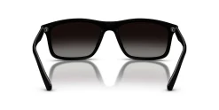 Gafas de sol Emporio Armani 0EA4257U