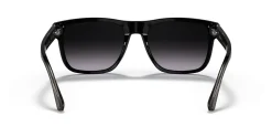 Gafas de sol Emporio Armani 0EA4163