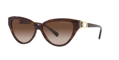Gafas de sol Emporio Armani 0EA4192