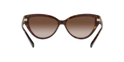 Gafas de sol Emporio Armani 0EA4192