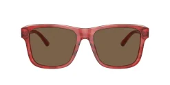 Gafas de sol Emporio Armani 0EA4208
