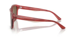 Gafas de sol Emporio Armani 0EA4208