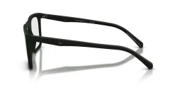 Gafas de sol Emporio Armani 0EA4258