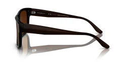 Gafas de sol Emporio Armani 0EA4197