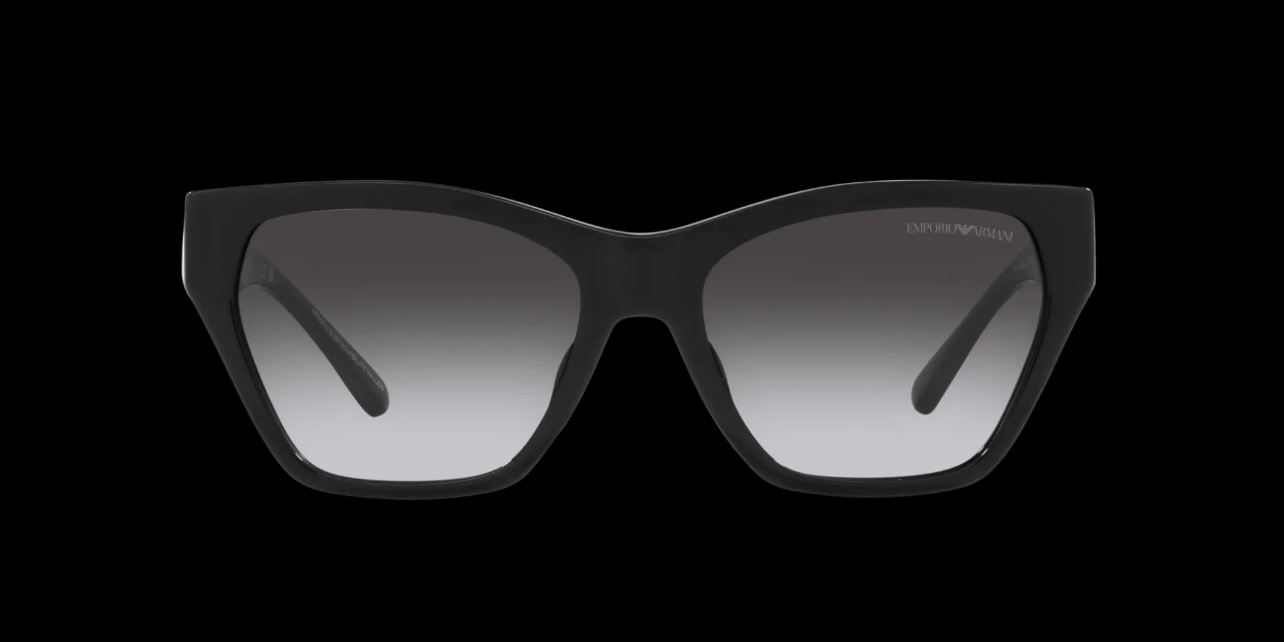 Gafas de sol Emporio Armani 0EA4203U