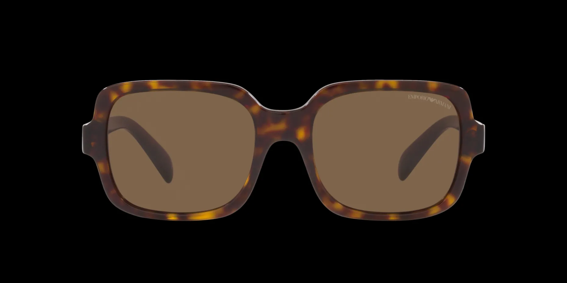 Gafas de sol Emporio Armani 0EA4195