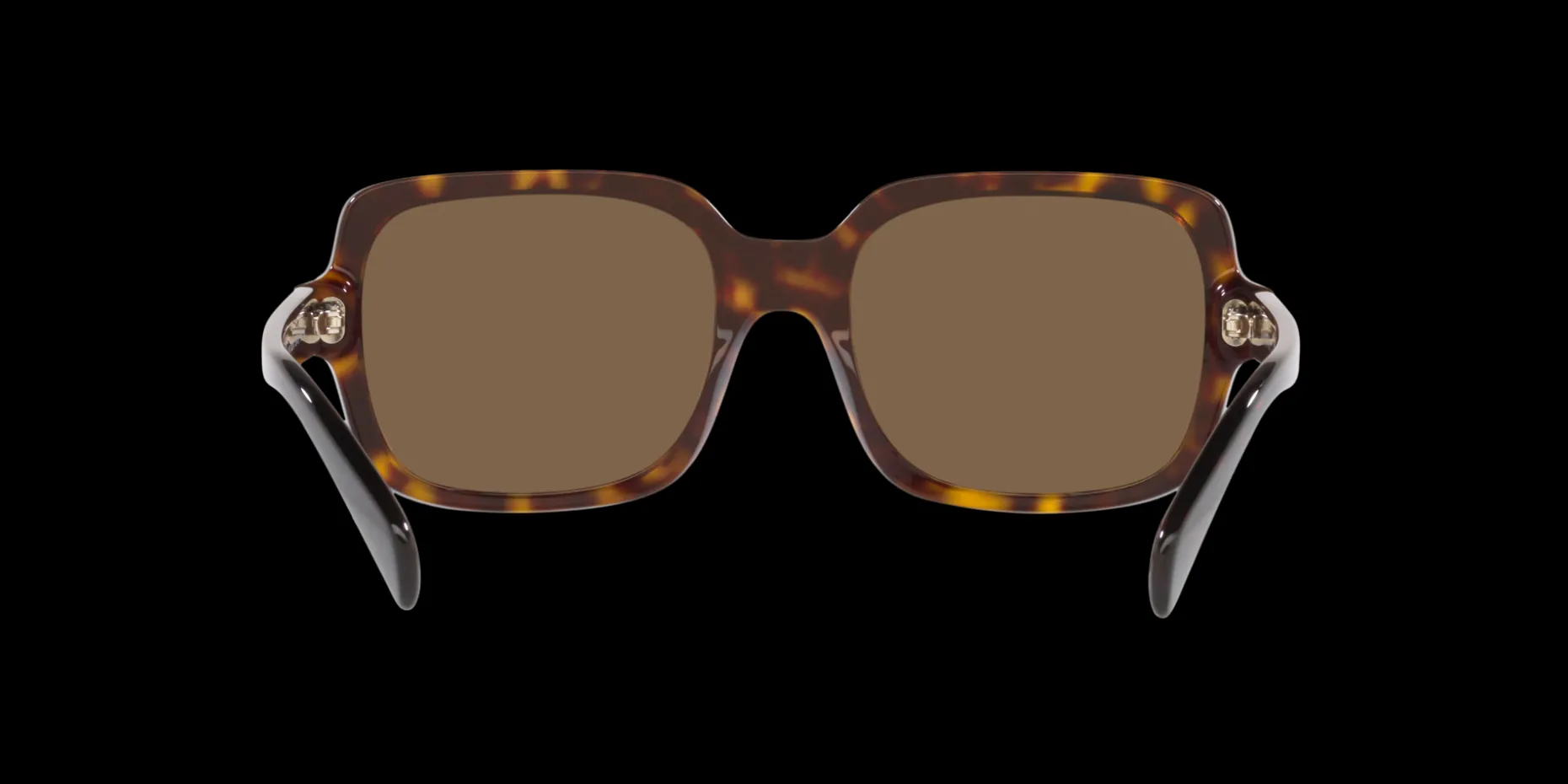 Gafas de sol Emporio Armani 0EA4195