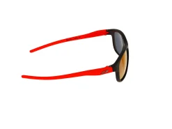 Gafas de sol Julbo ARCADE J556