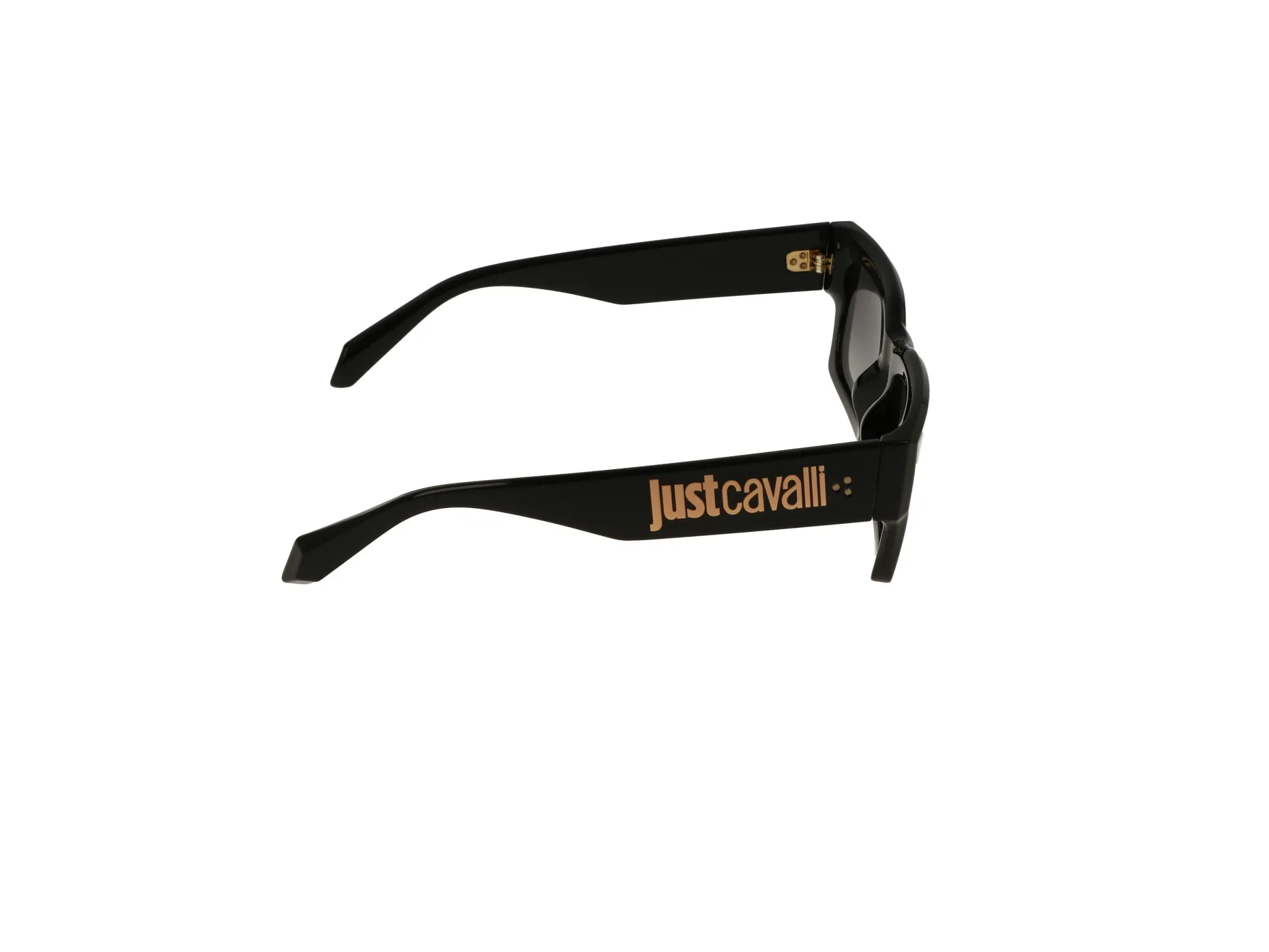 Gafas de sol Just Cavalli SJC039