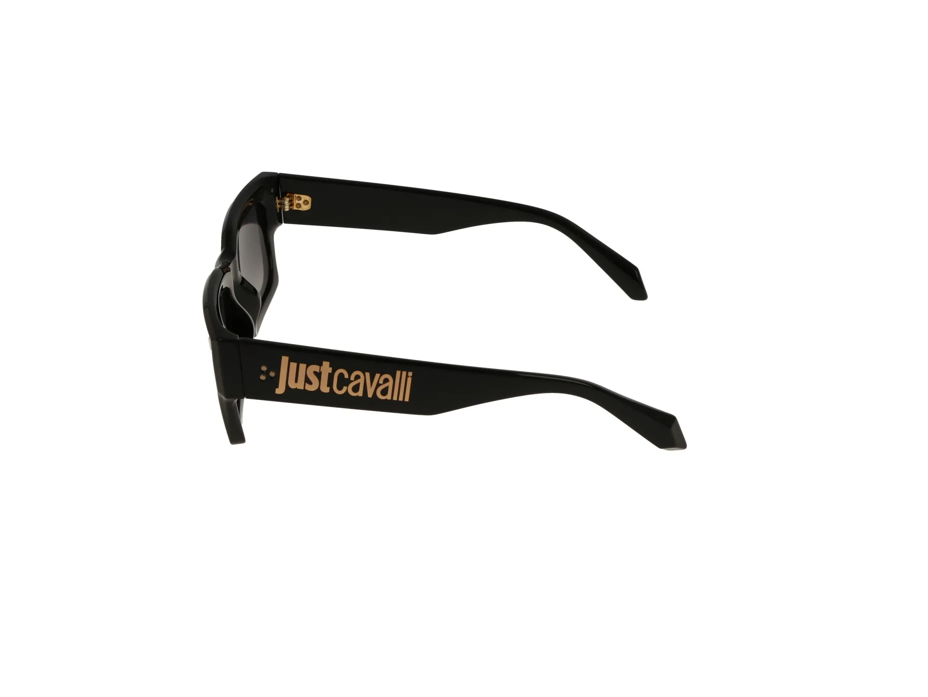 Gafas de sol Just Cavalli SJC039
