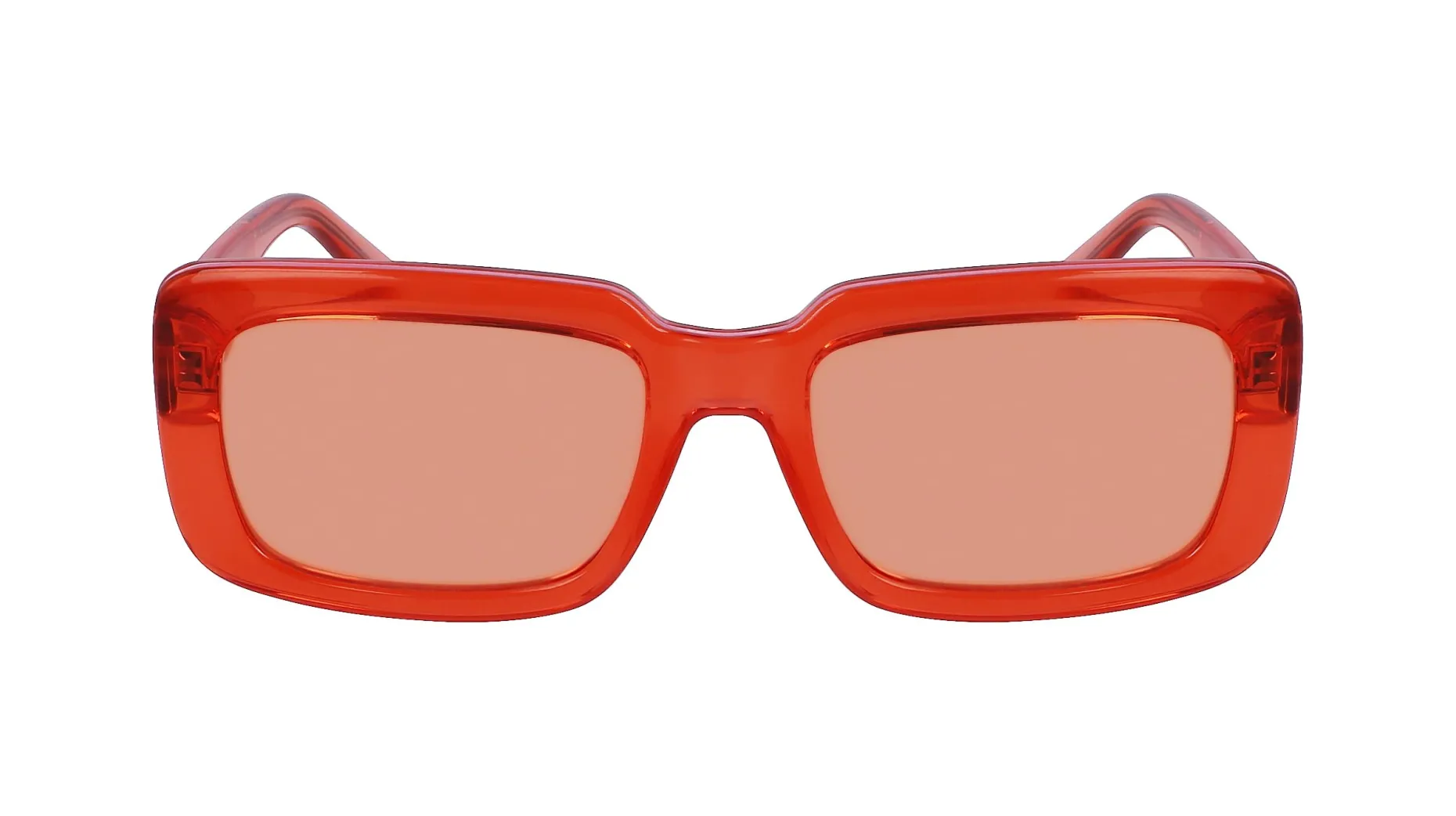 Gafas de sol Karl Lagerfeld KL6101S