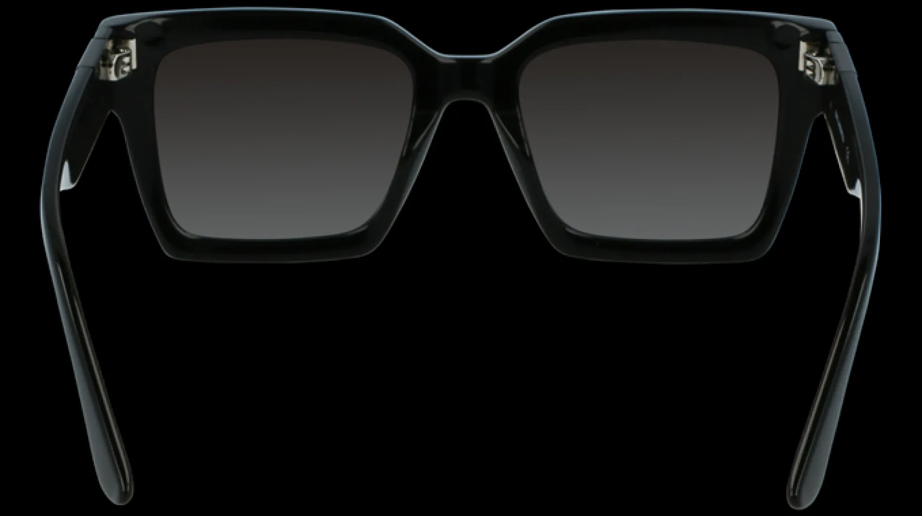 Gafas de sol Karl Lagerfeld KL6057S