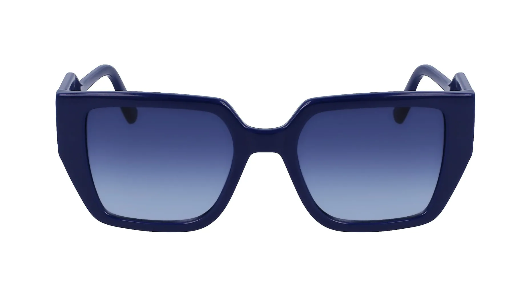 Gafas de sol Karl Lagerfeld KL6098S