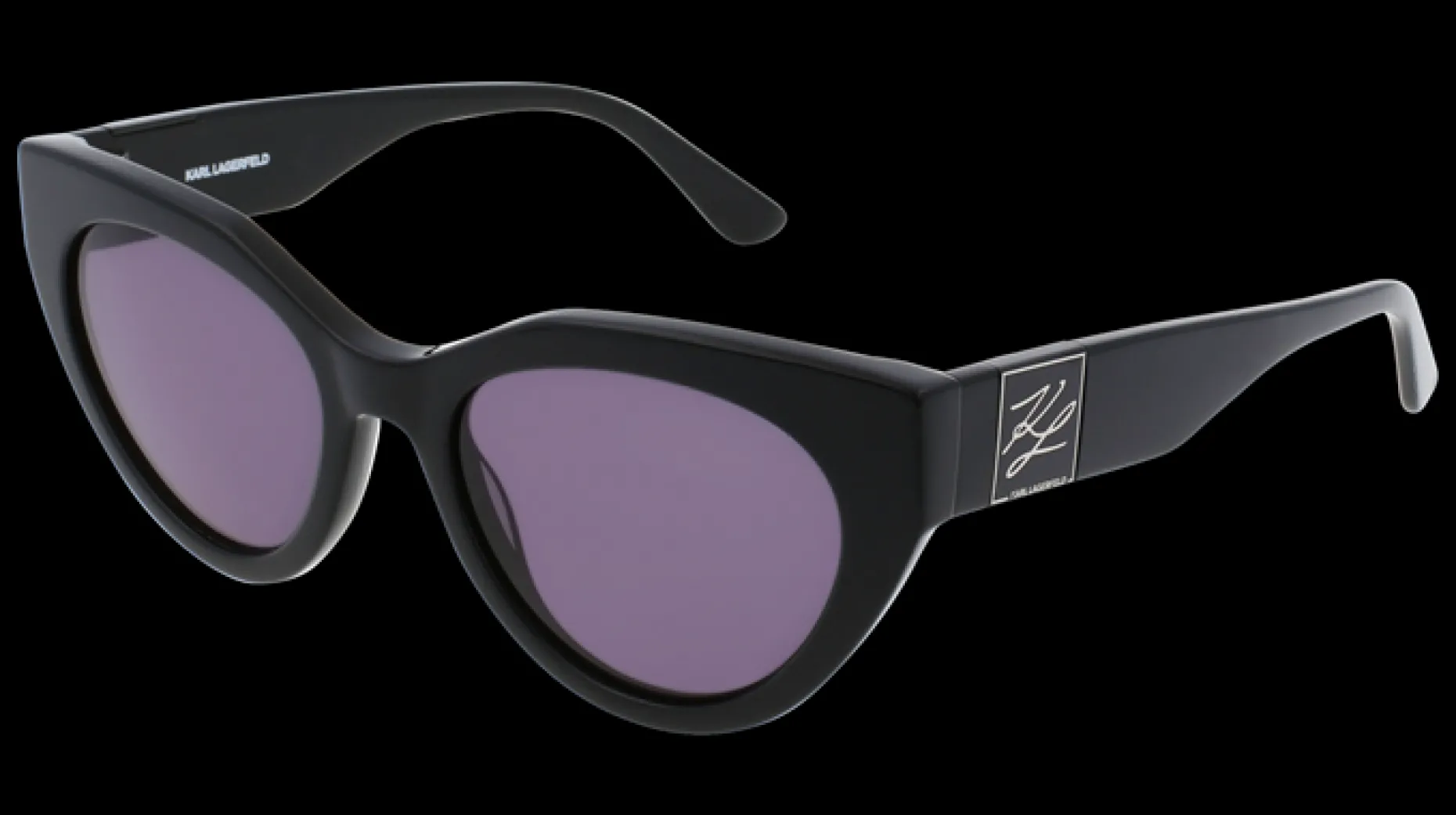 Gafas de sol Karl Lagerfeld KL6047S