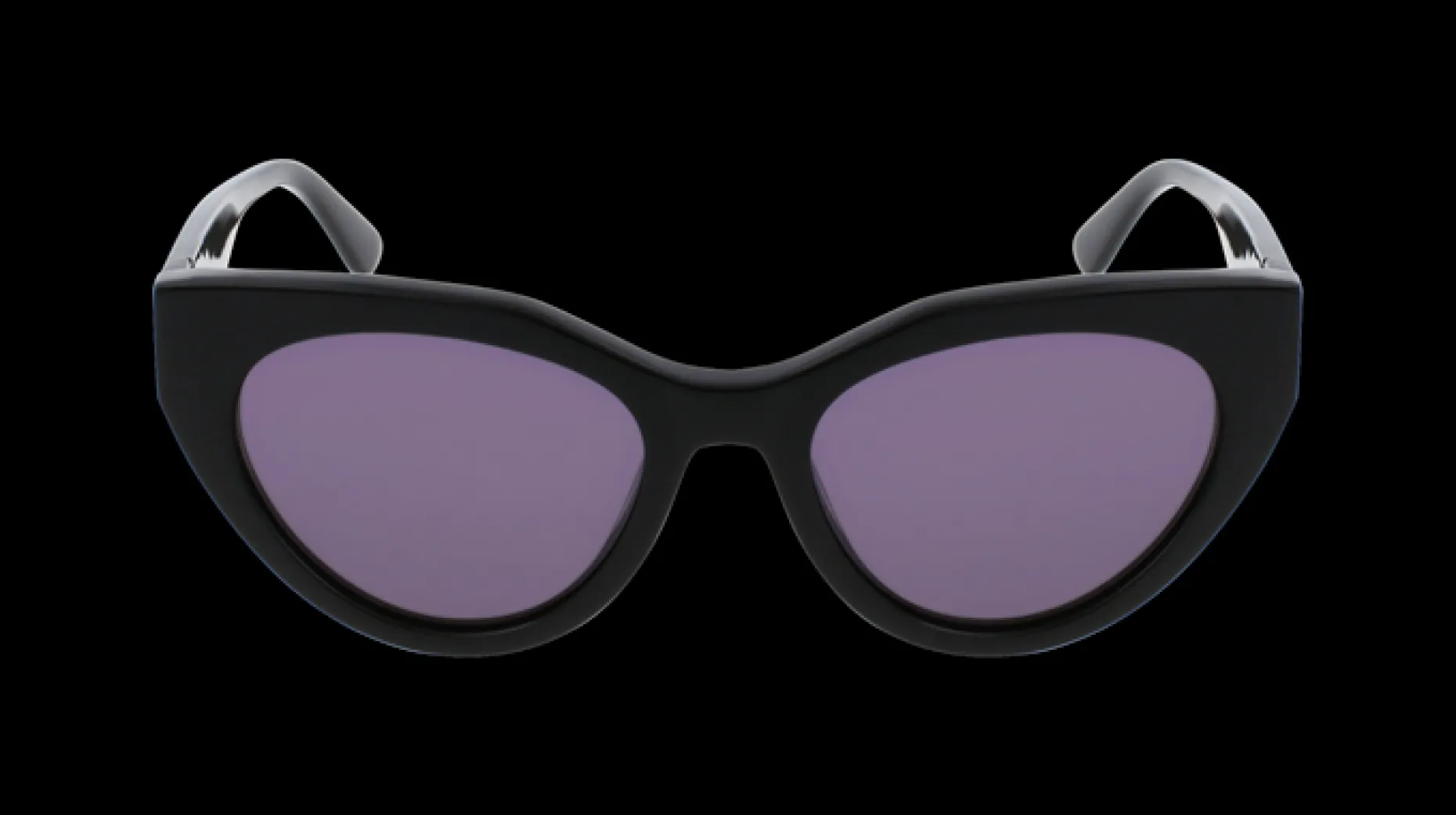 Gafas de sol Karl Lagerfeld KL6047S
