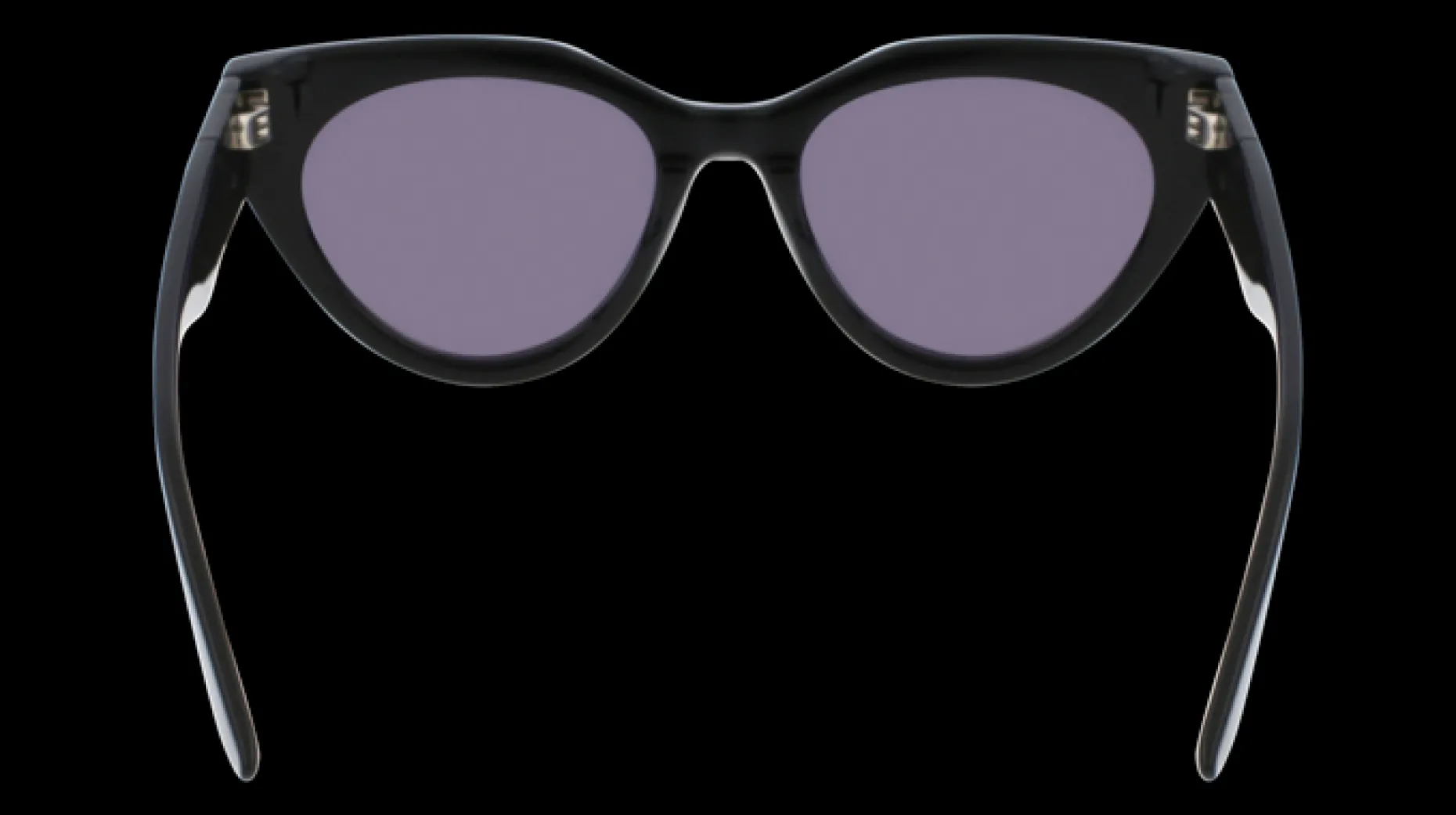 Gafas de sol Karl Lagerfeld KL6047S