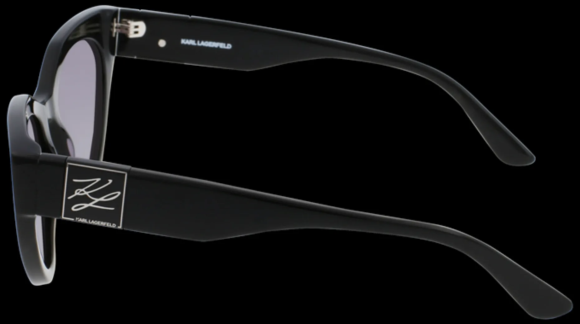 Gafas de sol Karl Lagerfeld KL6047S