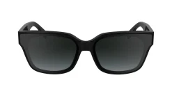 Gafas de sol Karl Lagerfeld KL6161S