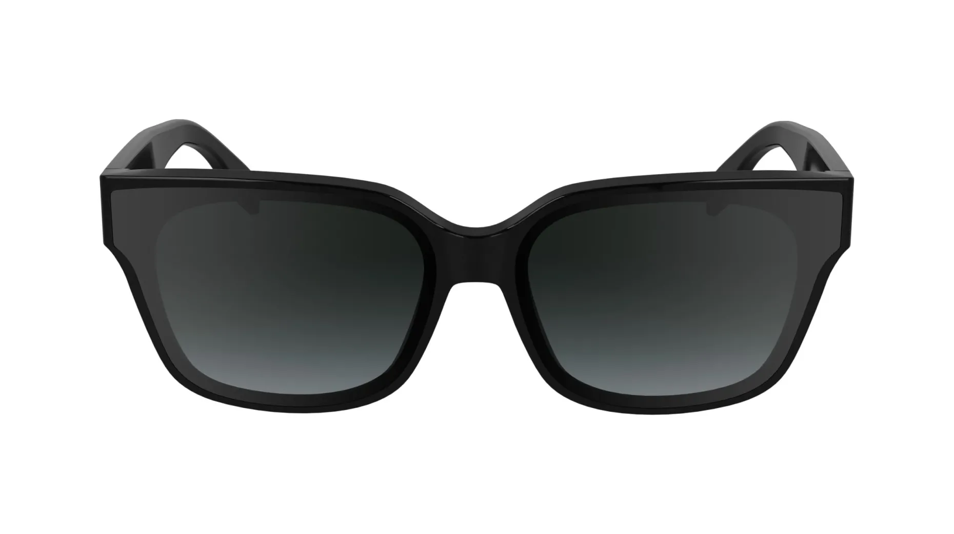 Gafas de sol Karl Lagerfeld KL6161S