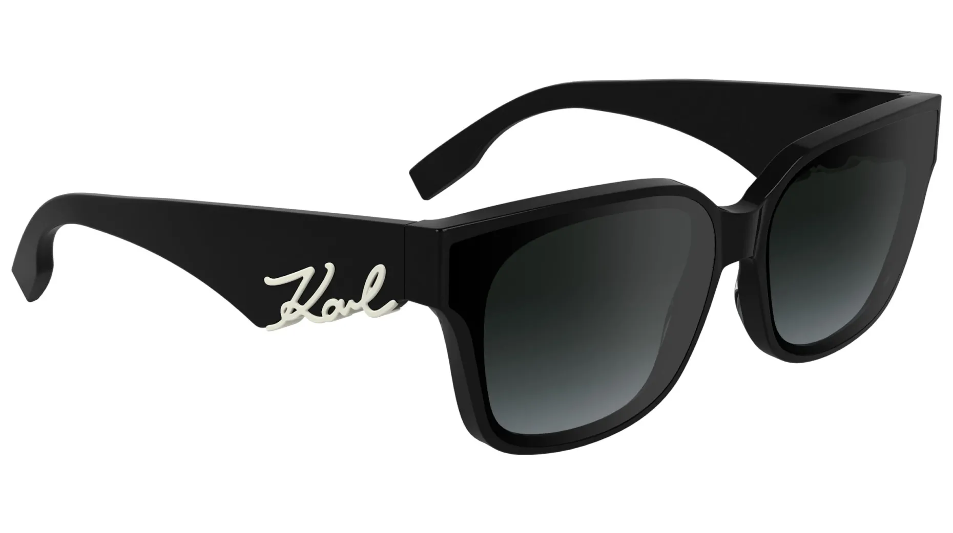 Gafas de sol Karl Lagerfeld KL6161S