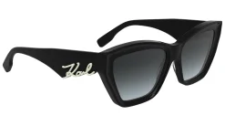 Gafas de sol Karl Lagerfeld KL6179S