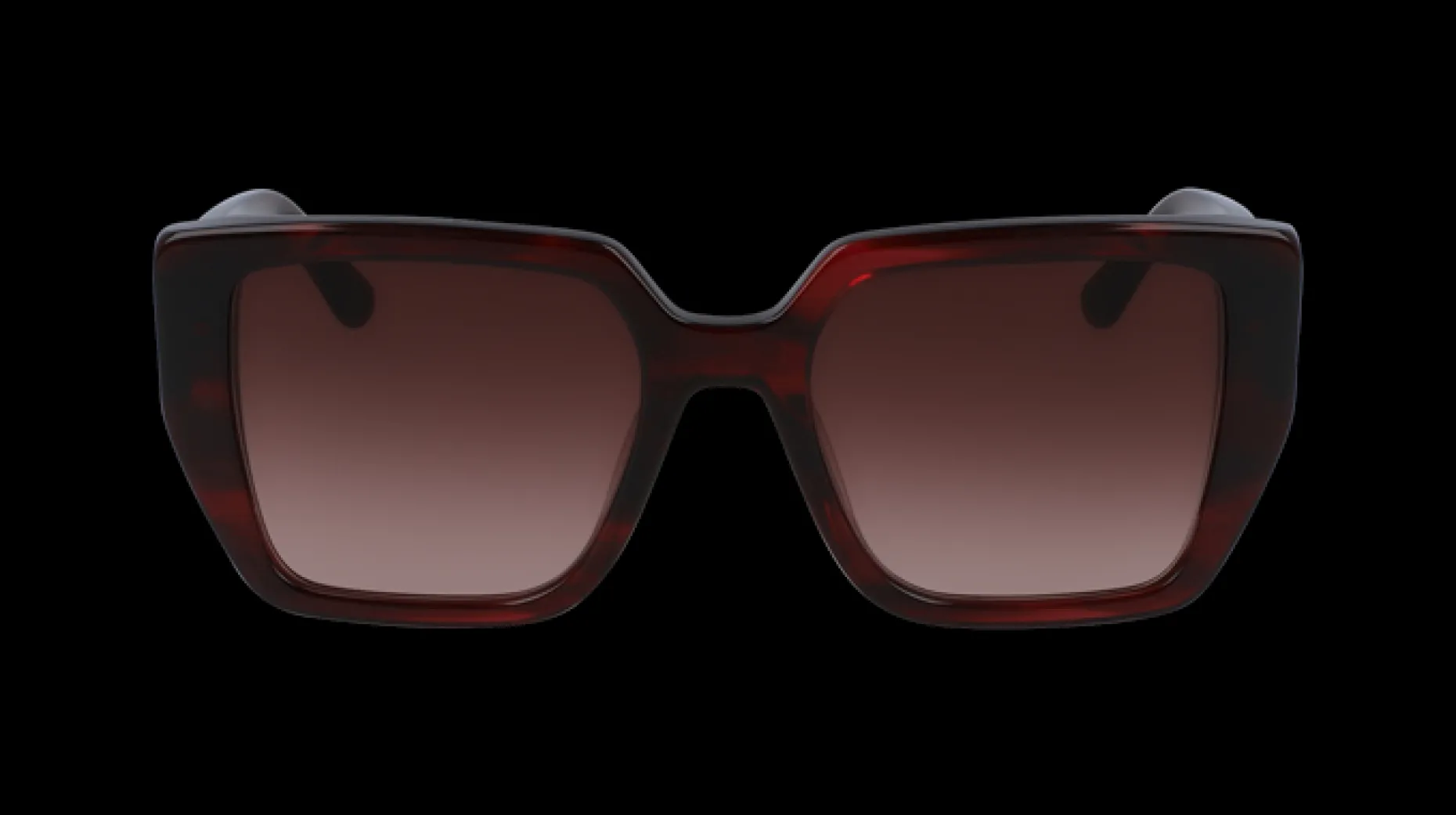 Gafas de sol Karl Lagerfeld KL6036S