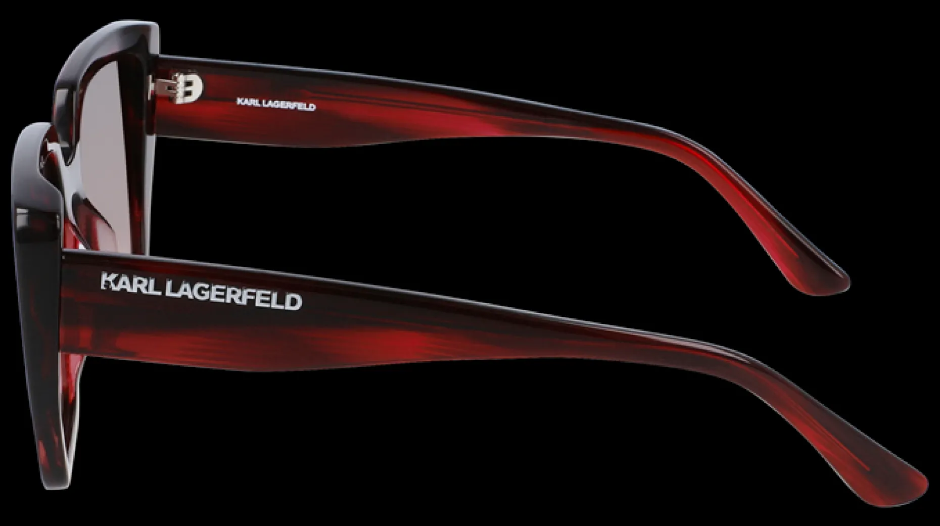 Gafas de sol Karl Lagerfeld KL6036S