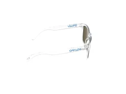 Gafas de sol Oakley FROGSKINS 0OO9013