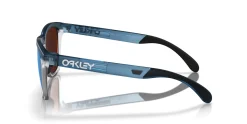 Gafas de sol Oakley FROGSKINS RANGE 0OO9284