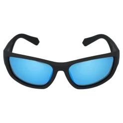 Gafas de sol Polaroid PLD 2166/S