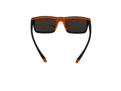 Gafas de sol Polaroid PLD2134/S