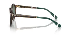 Gafas de sol Polo Ralph Lauren 0PH4204U