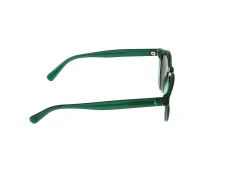 Gafas de sol Polo Ralph Lauren 0PH4192