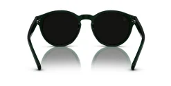 Gafas de sol Polo Ralph Lauren 0PH4192